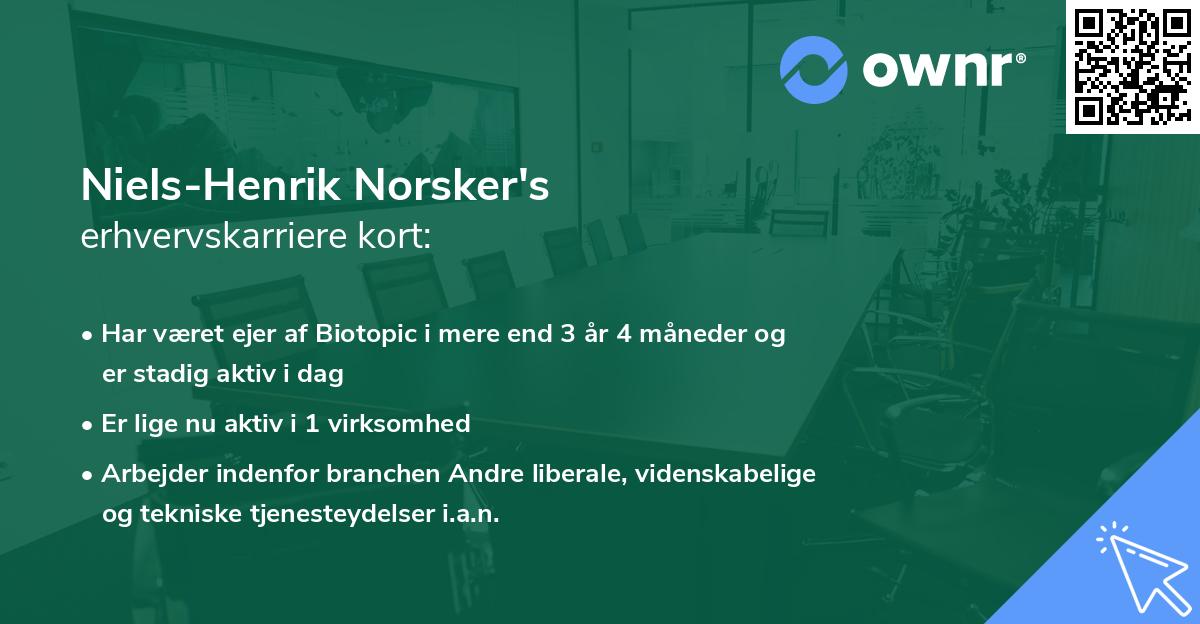 Niels-Henrik Norsker's erhvervskarriere kort