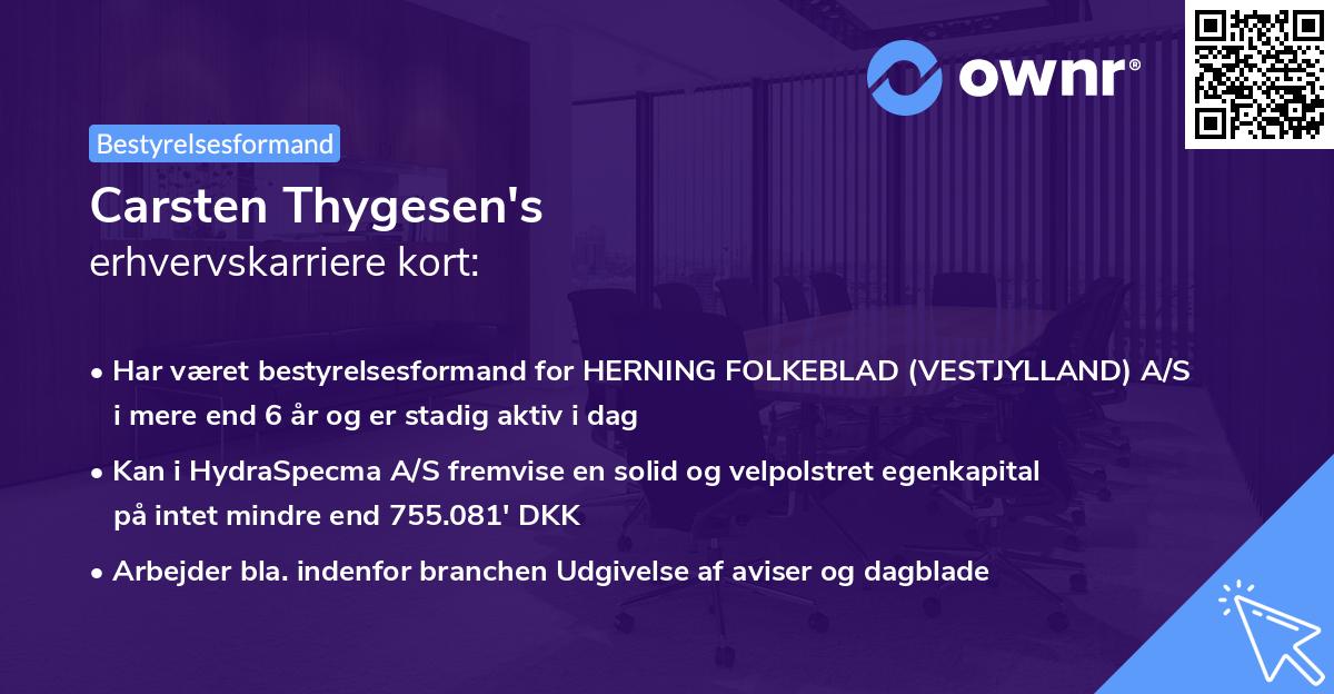 Carsten Thygesen's erhvervskarriere kort