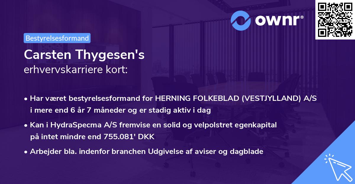 Carsten Thygesen's erhvervskarriere kort