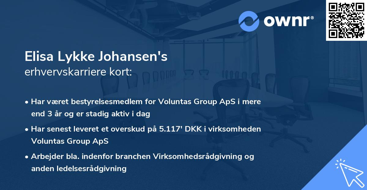 Elisa Lykke Johansen's erhvervskarriere kort