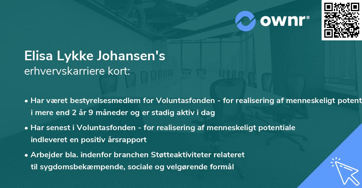 Elisa Lykke Johansen's erhvervskarriere kort