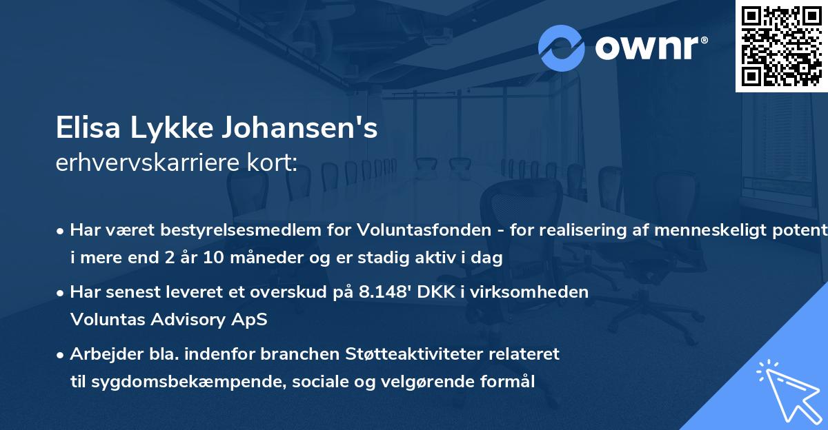 Elisa Lykke Johansen's erhvervskarriere kort