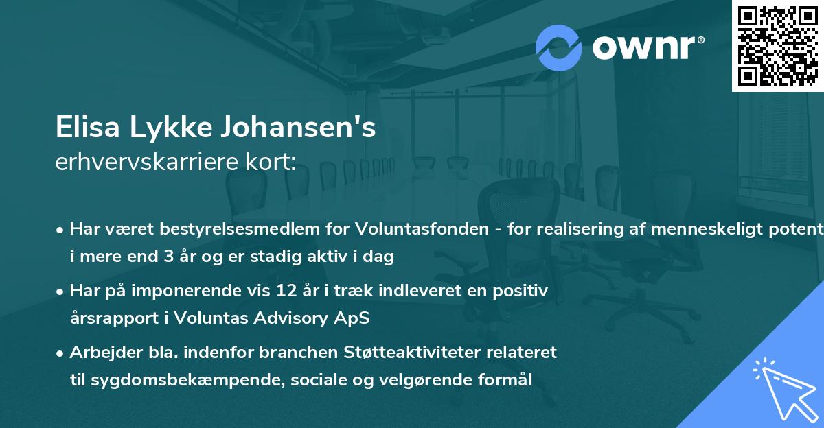 Elisa Lykke Johansen's erhvervskarriere kort