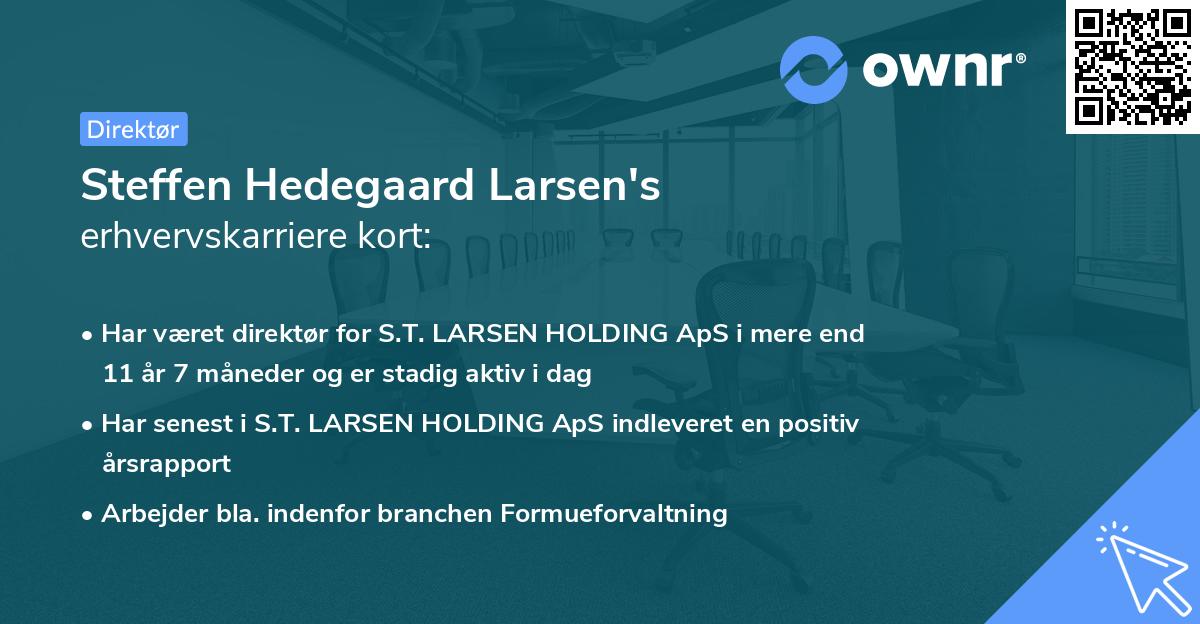 Steffen Hedegaard Larsen's erhvervskarriere kort