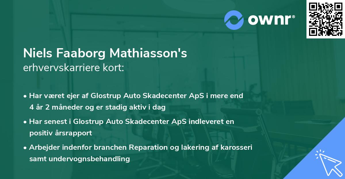 Niels Faaborg Mathiasson's erhvervskarriere kort