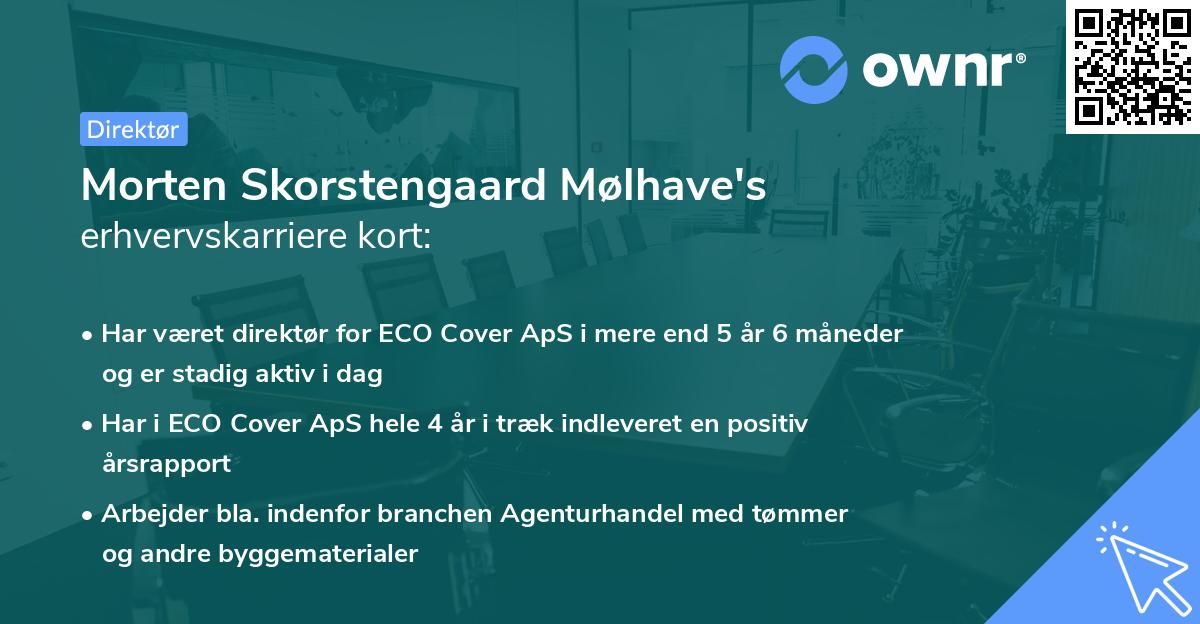Morten Skorstengaard Mølhave's erhvervskarriere kort