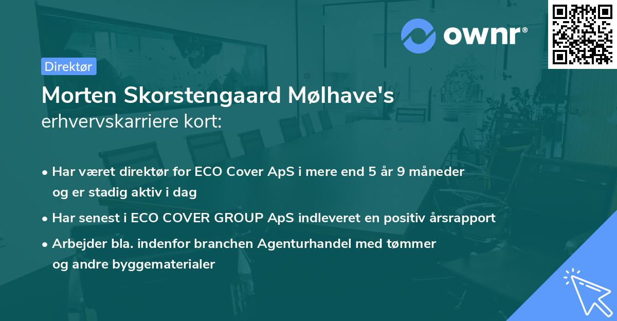 Morten Skorstengaard Mølhave's erhvervskarriere kort