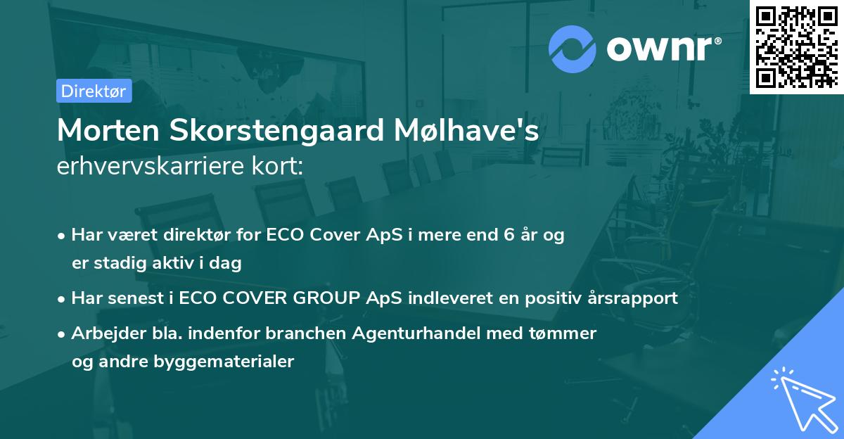 Morten Skorstengaard Mølhave's erhvervskarriere kort