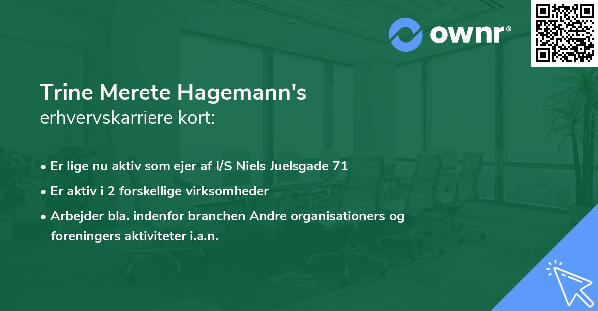 Trine Merete Hagemann's erhvervskarriere kort
