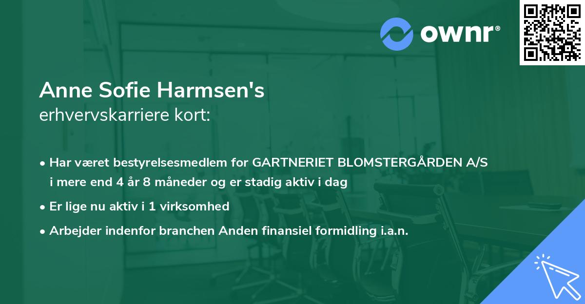 Anne Sofie Harmsen's erhvervskarriere kort