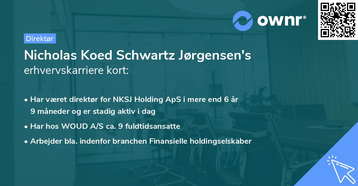 Nicholas Koed Schwartz Jørgensen's erhvervskarriere kort