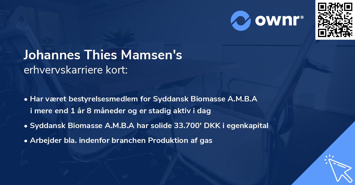 Johannes Thies Mamsen's erhvervskarriere kort