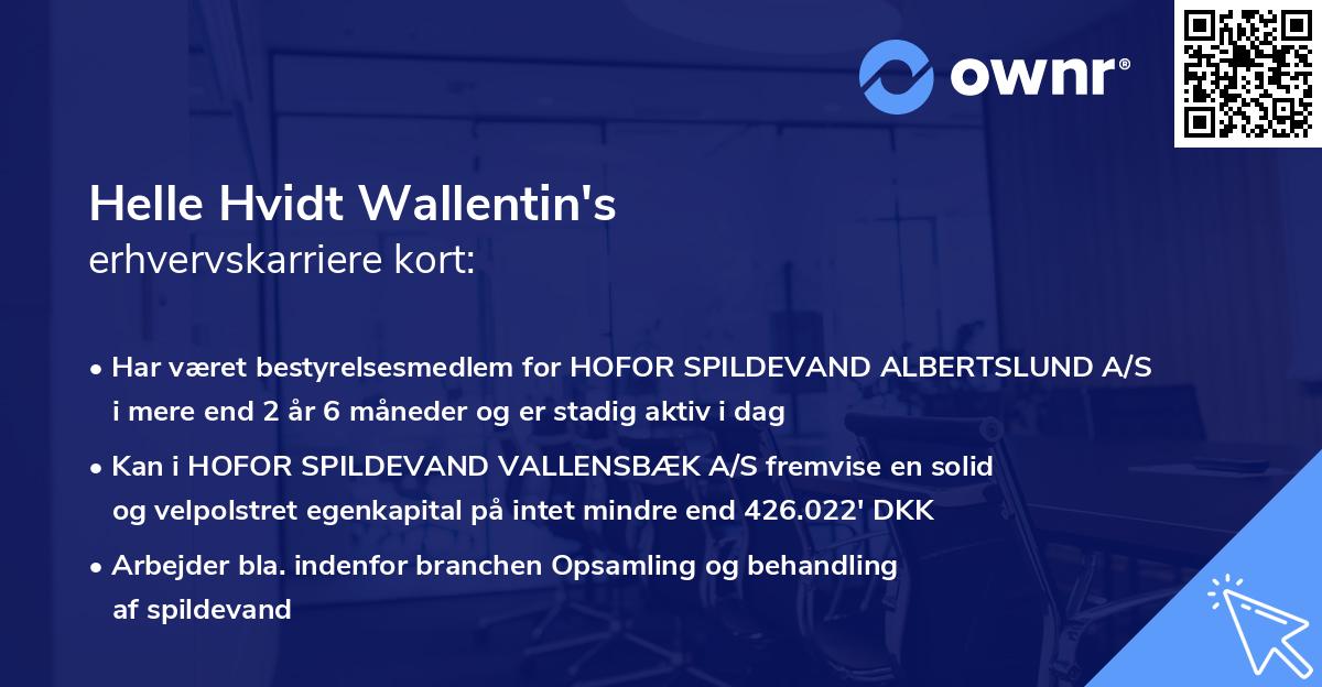 Helle Hvidt Wallentin's erhvervskarriere kort