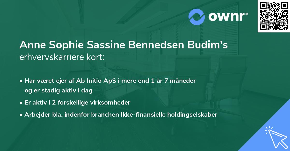 Anne Sophie Sassine Bennedsen Budim's erhvervskarriere kort