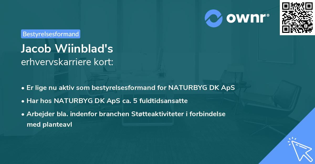 Jacob Wiinblad's erhvervskarriere kort