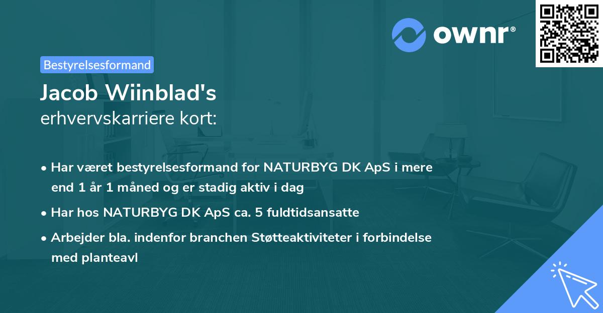 Jacob Wiinblad's erhvervskarriere kort