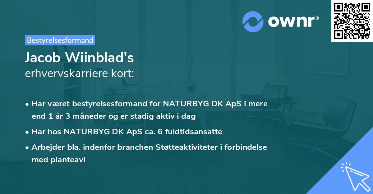 Jacob Wiinblad's erhvervskarriere kort
