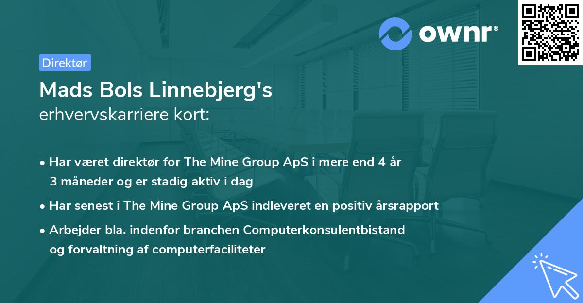 Mads Bols Linnebjerg's erhvervskarriere kort