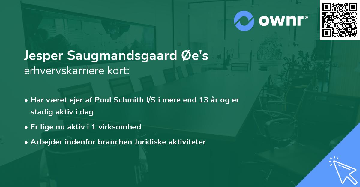 Jesper Saugmandsgaard Øe's erhvervskarriere kort