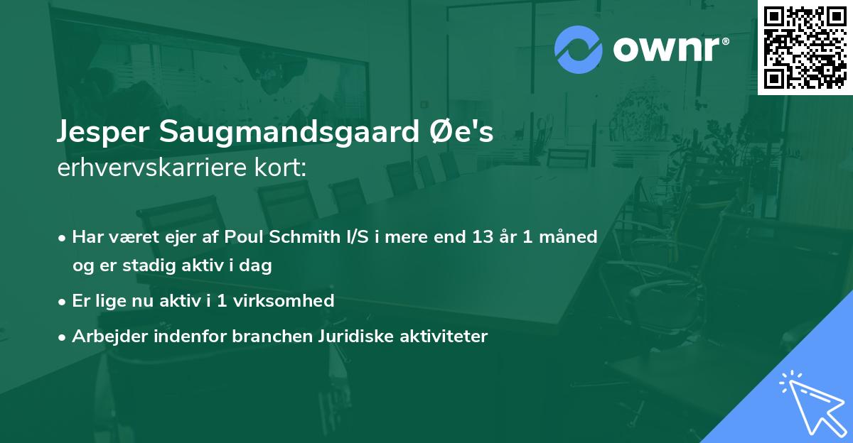 Jesper Saugmandsgaard Øe's erhvervskarriere kort
