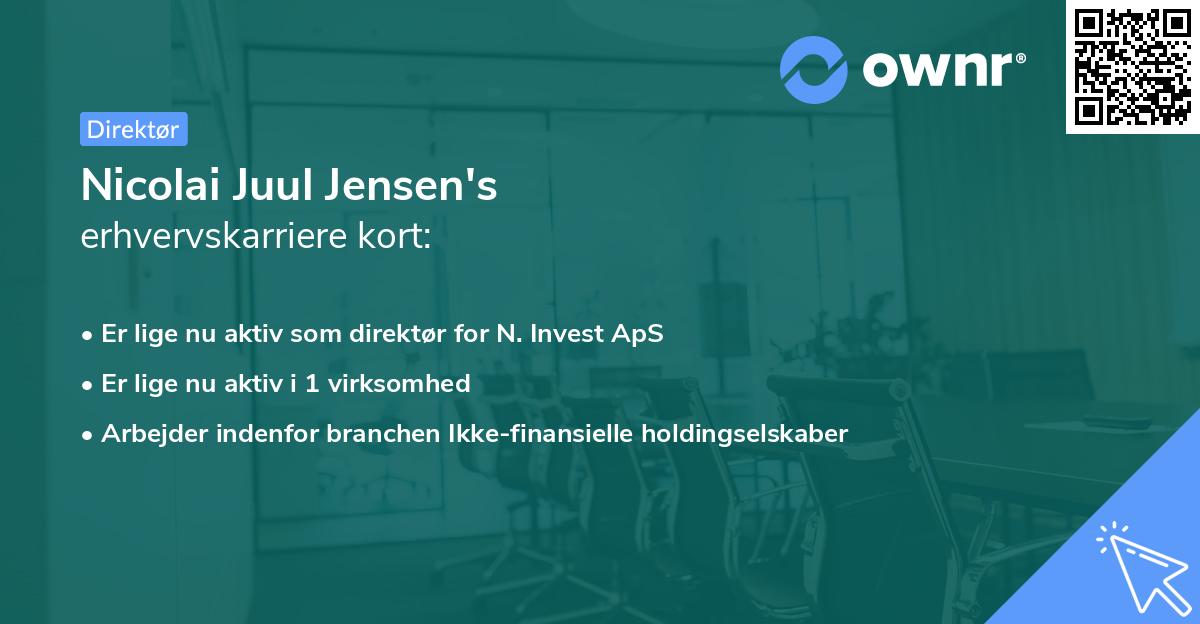 Nicolai Juul Jensen's erhvervskarriere kort