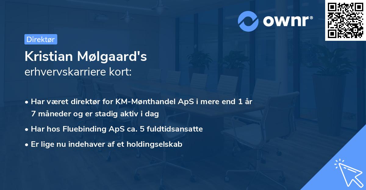 Kristian Mølgaard's erhvervskarriere kort