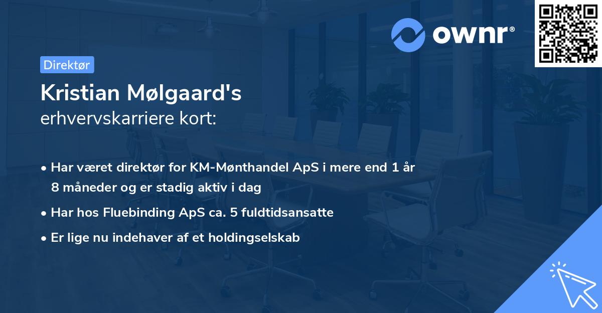 Kristian Mølgaard's erhvervskarriere kort