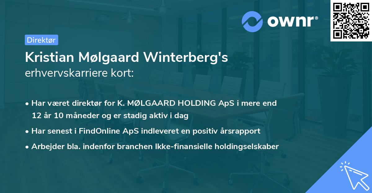 Kristian Mølgaard Winterberg's erhvervskarriere kort