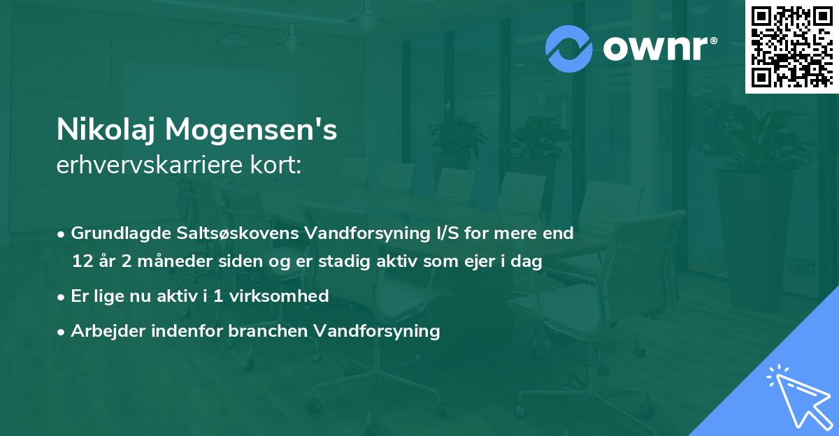 Nikolaj Mogensen's erhvervskarriere kort