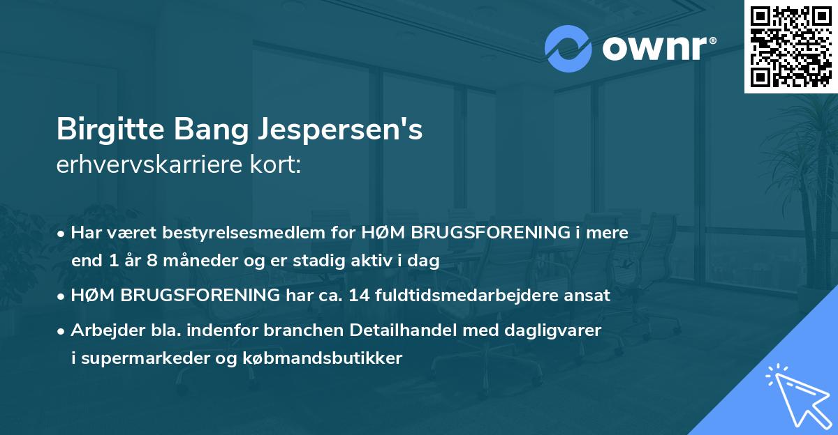 Birgitte Bang Jespersen's erhvervskarriere kort