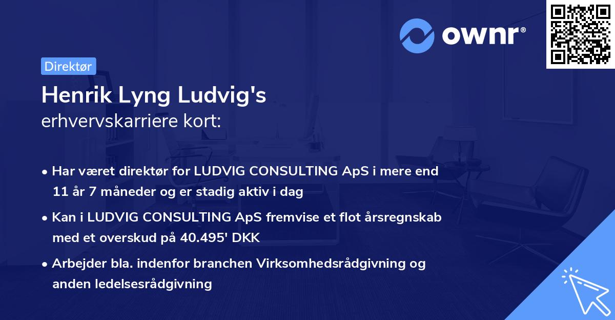 Henrik Lyng Ludvig's erhvervskarriere kort
