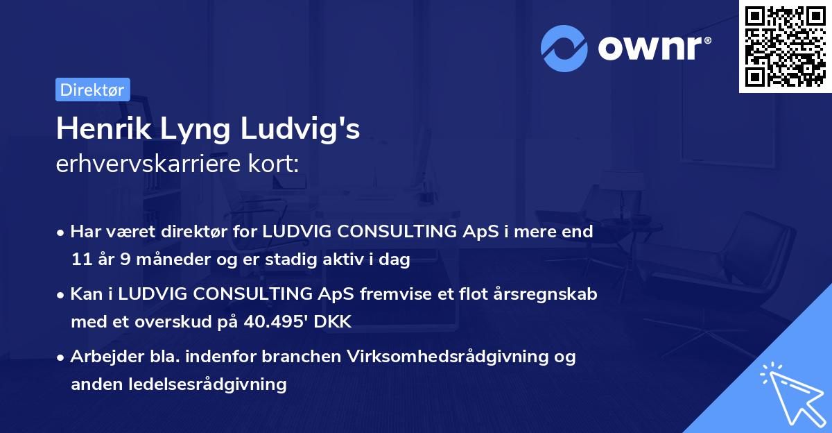Henrik Lyng Ludvig's erhvervskarriere kort