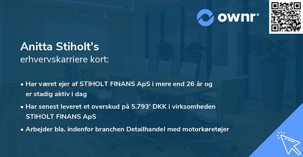 Anitta Stiholt's erhvervskarriere kort