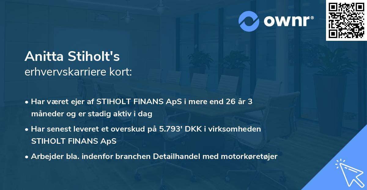 Anitta Stiholt's erhvervskarriere kort