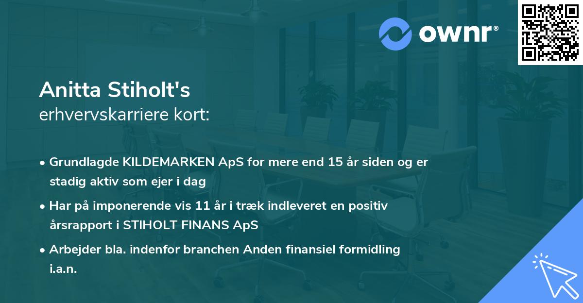 Anitta Stiholt's erhvervskarriere kort