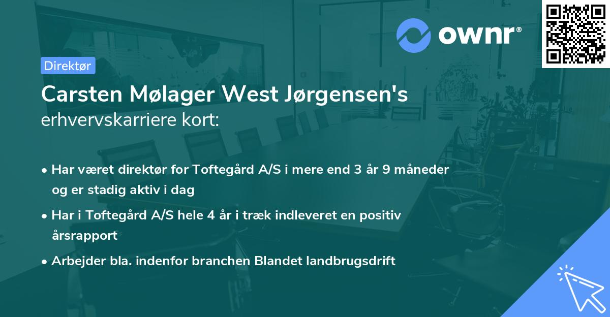 Carsten Mølager West Jørgensen's erhvervskarriere kort