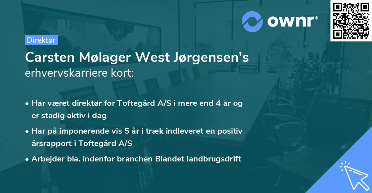 Carsten Mølager West Jørgensen's erhvervskarriere kort