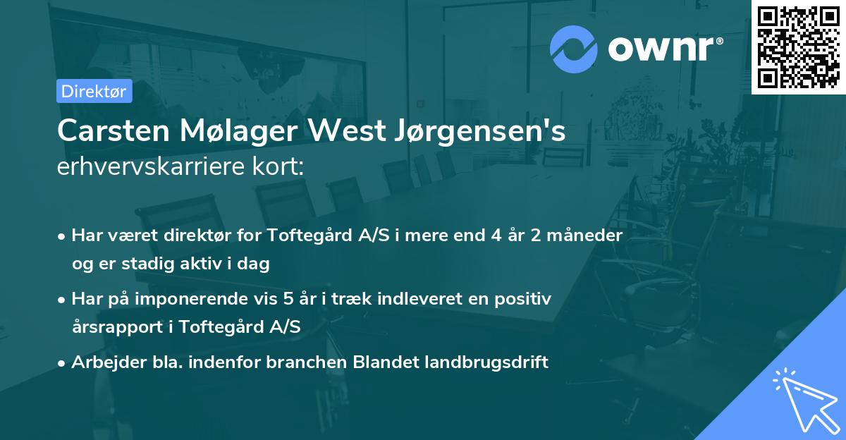 Carsten Mølager West Jørgensen's erhvervskarriere kort