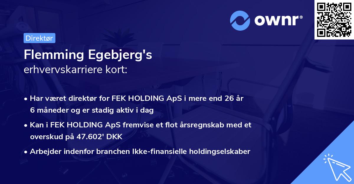 Flemming Egebjerg's erhvervskarriere kort