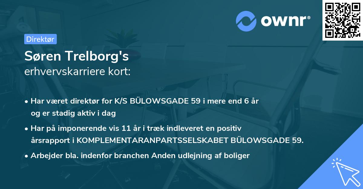 Søren Trelborg's erhvervskarriere kort