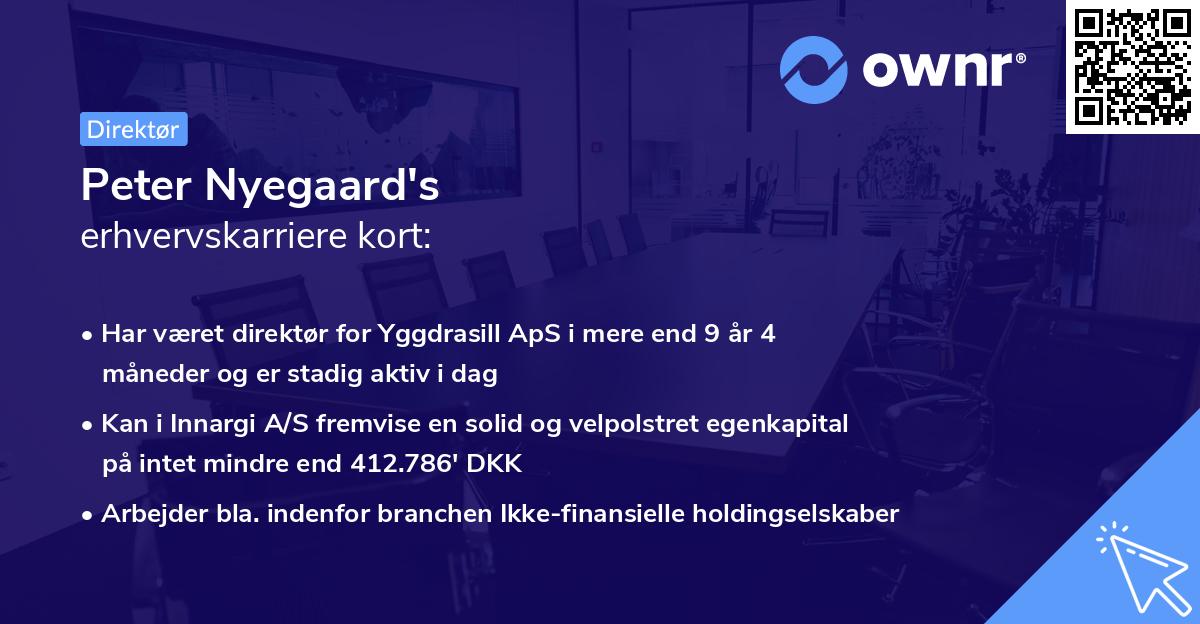Peter Nyegaard's erhvervskarriere kort