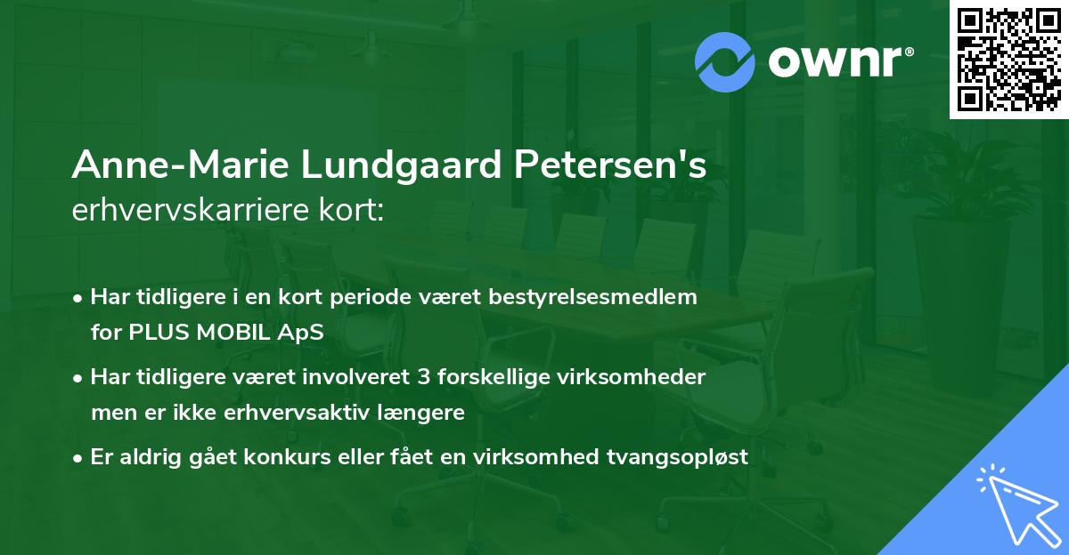 Anne-Marie Lundgaard Petersen's erhvervskarriere kort