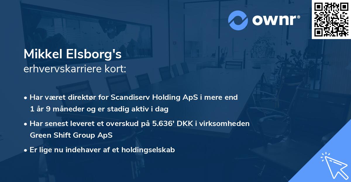 Mikkel Elsborg's erhvervskarriere kort