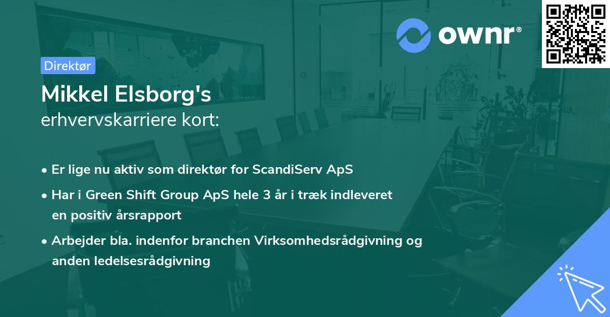 Mikkel Elsborg's erhvervskarriere kort