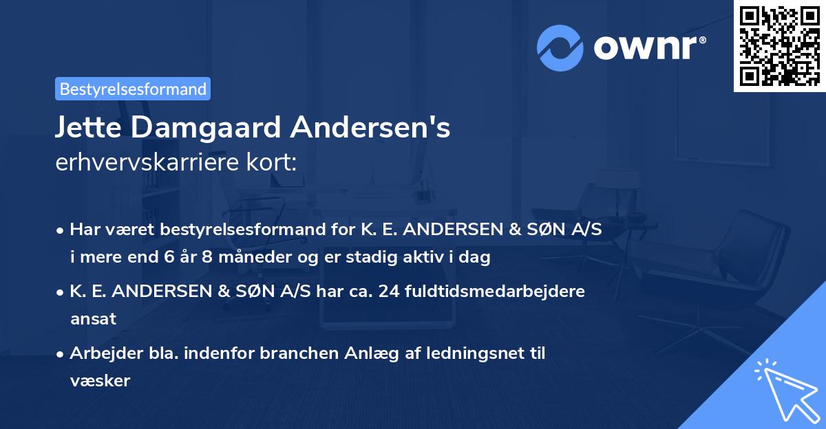 Jette Damgaard Andersen's erhvervskarriere kort