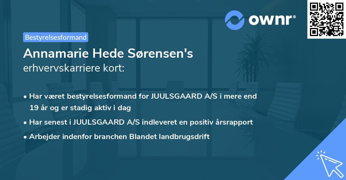 Annamarie Hede Sørensen's erhvervskarriere kort