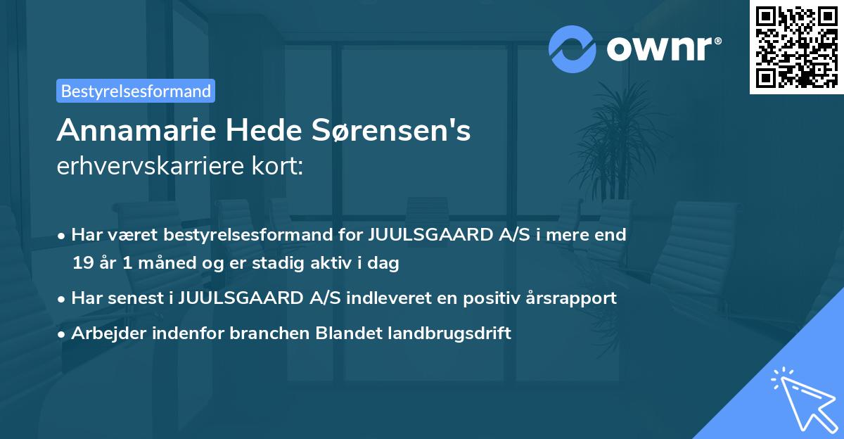 Annamarie Hede Sørensen's erhvervskarriere kort