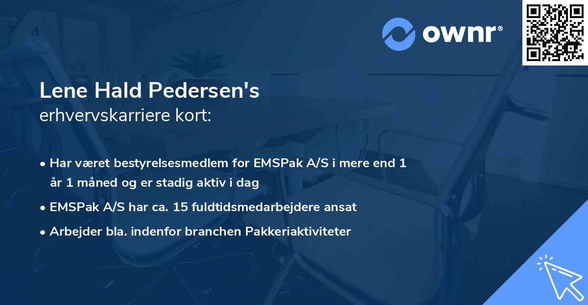 Lene Hald Pedersen's erhvervskarriere kort