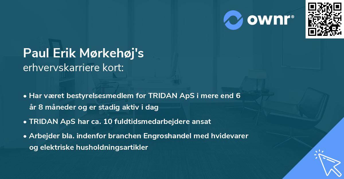 Paul Erik Mørkehøj's erhvervskarriere kort