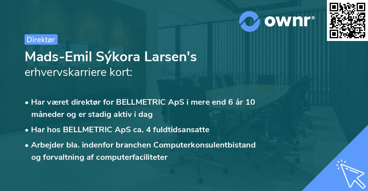 Mads-Emil Sýkora Larsen's erhvervskarriere kort